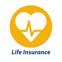 life insurance icon